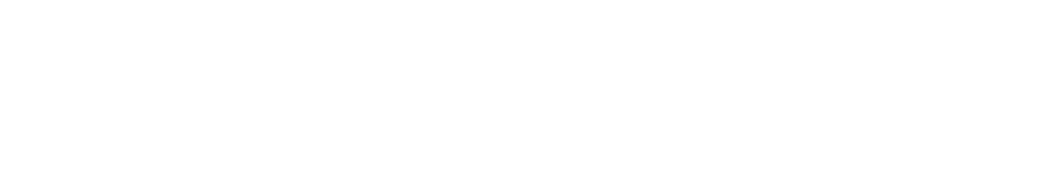 尚京奇logo